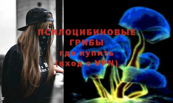 мяу мяу мука Вяземский