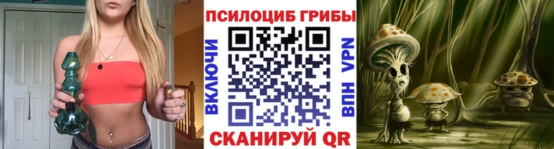 shop как зайти  Заводоуковск  Псилоцибиновые грибы Psilocybine cubensis 